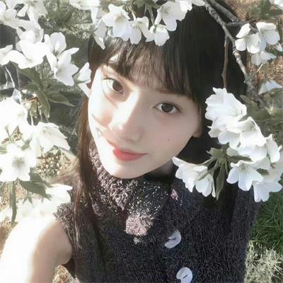 凤女龙驹